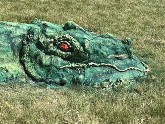 Eye of the dragon